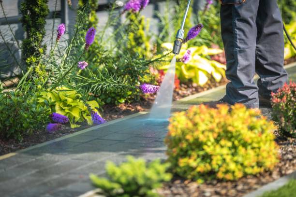 Best Restaurant Pressure Washing  in Buffalo, TX